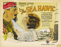 The Sea Hawk pillow