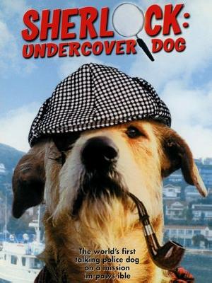 Sherlock: Undercover Dog pillow
