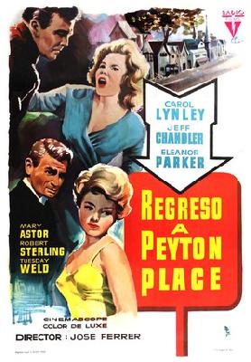 Return to Peyton Place puzzle 2242397