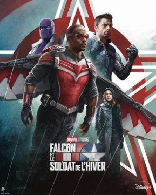 The Falcon and the Winter Soldier Wood Print