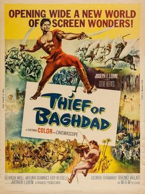 Ladro di Bagdad, Il puzzle 2251824