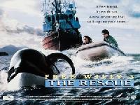 Free Willy 3: The Rescue kids t-shirt #2253017