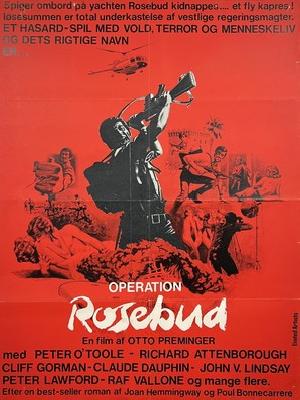 Rosebud Poster with Hanger