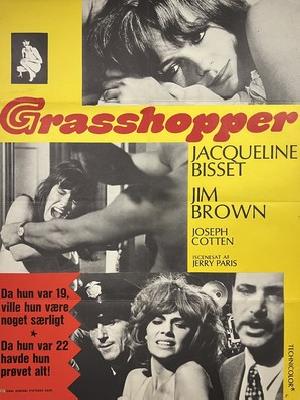 The Grasshopper Metal Framed Poster