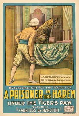 A Prisoner in the Harem mug #