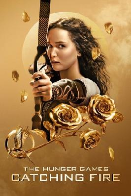 The Hunger Games: Catching Fire puzzle 2261881