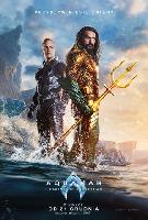 Aquaman and the Lost Kingdom hoodie #2265477