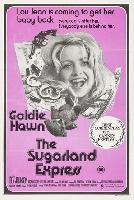 The Sugarland Express magic mug #
