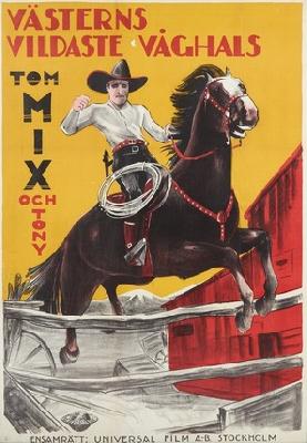 The Fourth Horseman Metal Framed Poster