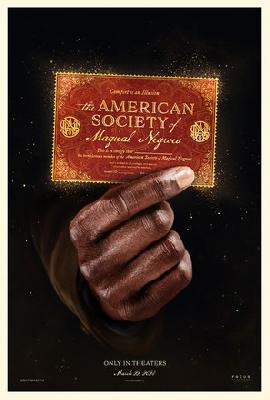 The American Society of Magical Negroes pillow
