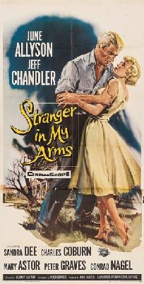A Stranger in My Arms poster