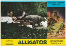 Alligator Sweatshirt #2278877