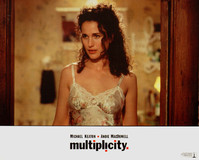 Multiplicity Poster 2310587