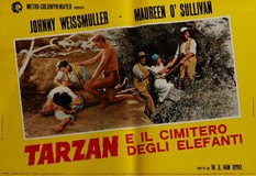 Tarzan the Ape Man Poster 2313391