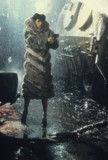 Blade Runner Poster 2317894
