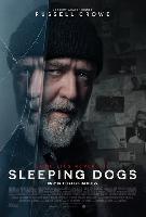 Sleeping Dogs posters