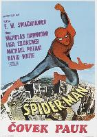 The Amazing Spider-Man Longsleeve T-shirt #2327455