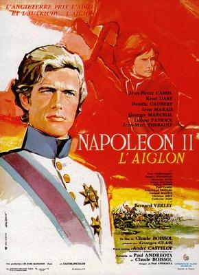 Napoléon II, l'aiglon pillow