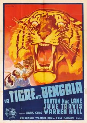 Bengal Tiger Poster with Hanger