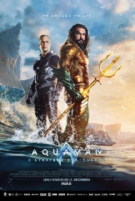 Aquaman and the Lost Kingdom puzzle 2333427