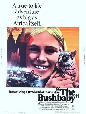 The Bushbaby poster