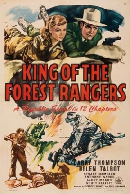 King of the Forest Rangers puzzle 2343223