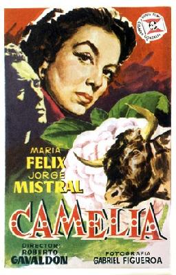 Camelia Wooden Framed Poster
