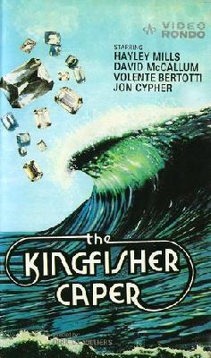 The Kingfisher Caper hoodie