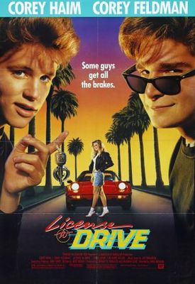 License to Drive Stickers 629909