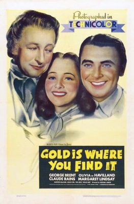 Gold Is Where You Find It pillow