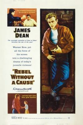 Rebel Without a Cause puzzle 630922