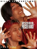 Bill & Ted's Bogus Journey Mouse Pad 632691