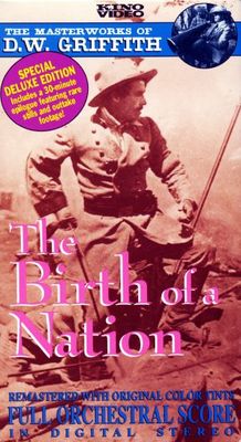 The Birth of a Nation Poster 633878