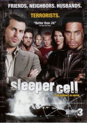 Sleeper Cell pillow