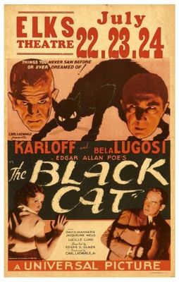 The Black Cat Poster 635395