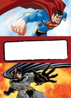Superman/Batman: Public Enemies hoodie #636403