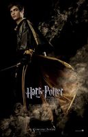 Harry Potter and the Goblet of Fire t-shirt #636728