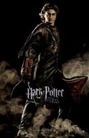 Harry Potter and the Goblet of Fire hoodie #636729