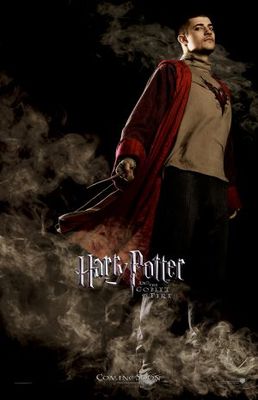 Harry Potter and the Goblet of Fire Stickers 636746
