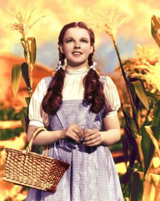 The Wizard of Oz puzzle 636899