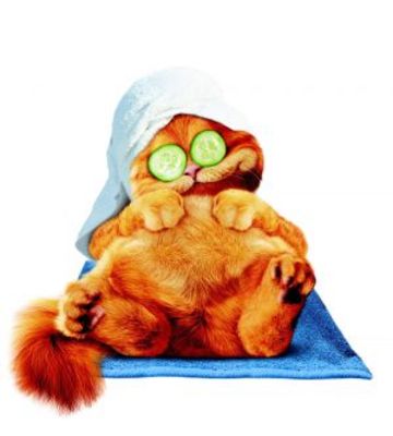 Garfield: A Tail of Two Kitties hoodie