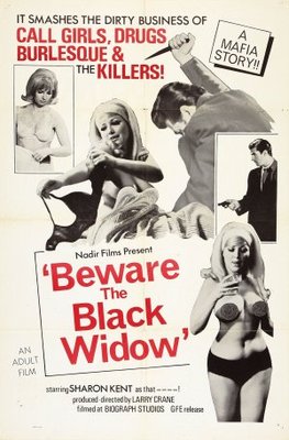 Beware the Black Widow Mouse Pad 637379