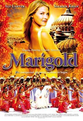 Marigold pillow