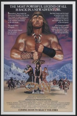 Conan The Destroyer Poster 639798