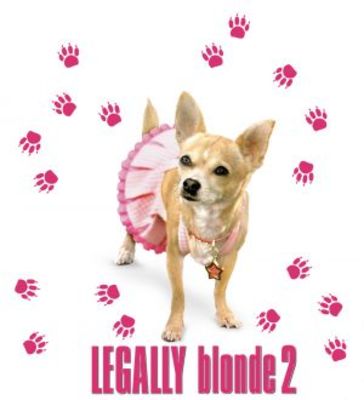 Legally Blonde 2: Red, White & Blonde tote bag #