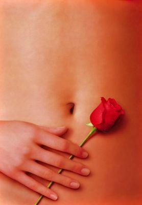 American Beauty Poster 642666