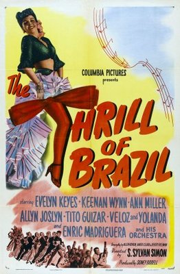 The Thrill of Brazil pillow