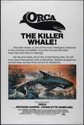 Orca Metal Framed Poster