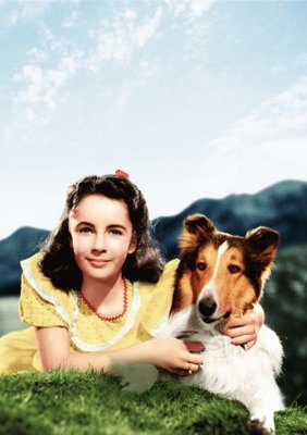 Courage of Lassie poster
