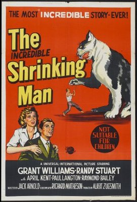The Incredible Shrinking Man Poster 650522